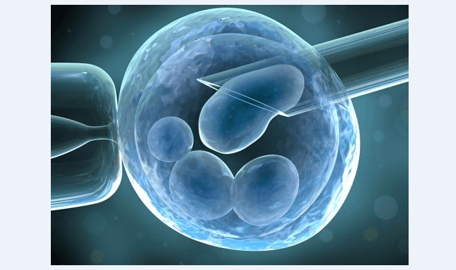 ¿Qué hay que saber sobre las Células Madre y la osteoartritis?